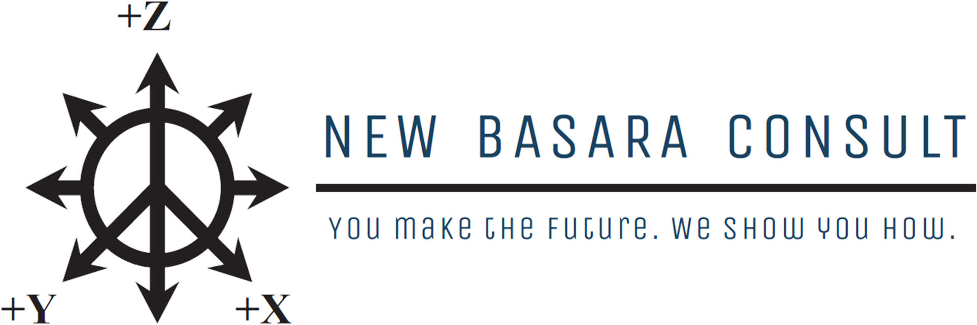 New Basara Consult